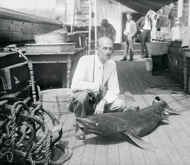 In this image from July 1925, naturalist William Beebe poses with a sand shark, one of thousands of fish he "collected" over a six-month journey across oceans with the New York Zoological Society.