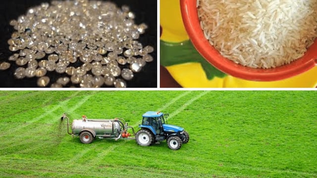 Basmati Rice, Diamonds & fertilisers to be impacted by Middle East unrest | Commons
