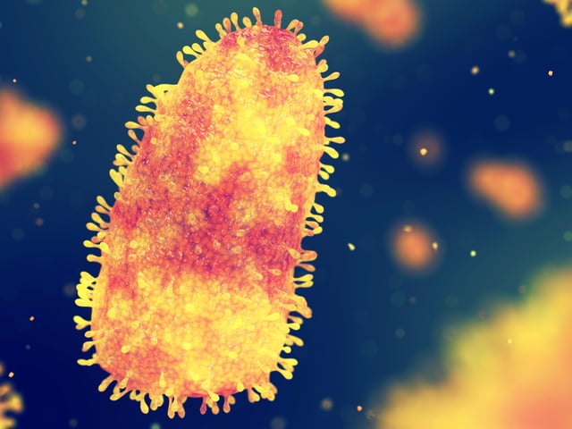 Rabies virus infection.