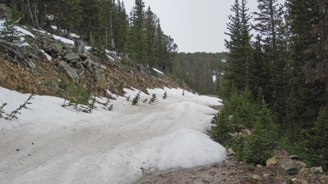 Snow on Hellroaring Road, Montana in May