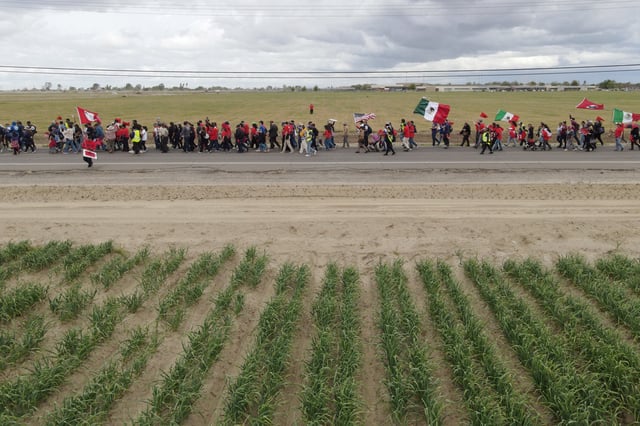 A drone view shows supporters of farm labor unions during a march to mark Cesar Chavez Day and to protest against mass migrant deportation policies, in Delano, California, U.S. March 31, 2025.  REUTERS/David Swanson/File Photo