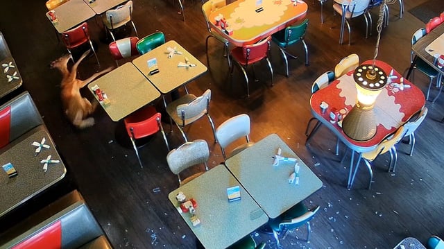A popular brunch spot delayed opening to repair a window that a deer ran through.