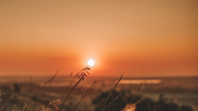 With the summer solstice on June 20, various restaurants offer free donuts, discounted ice cream, and more.