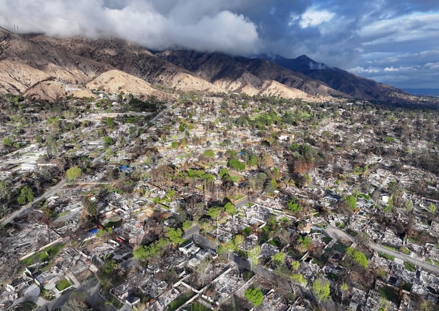 In an aerial view, surviving trees and new greenery can be seen following recent rains amid homes destroyed in the Eaton Fire on March 11, 2025, in Altadena, California. (Photo by Mario Tama/Getty Images)