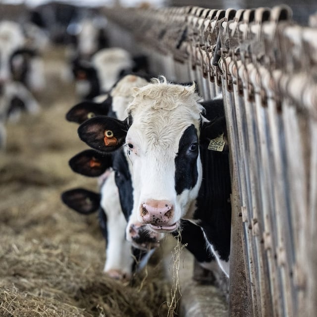 Groups representing supply-managed industries, such as dairy, applauded the passage of Bill C-202 this week.