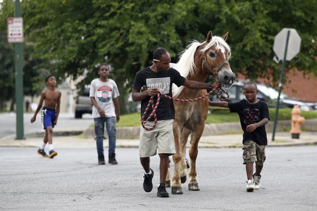 Bilal Yusuf Abdullah, center, leads a horse to an arabber stable as neighborhood boys tag along in Baltimore. Baltimore has long been the last U.S. city to have functional horse-cart vending.