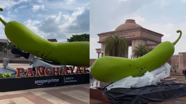 The vegetable appeared as part of a promo for Panchayat season 4.  | Image: Instagram