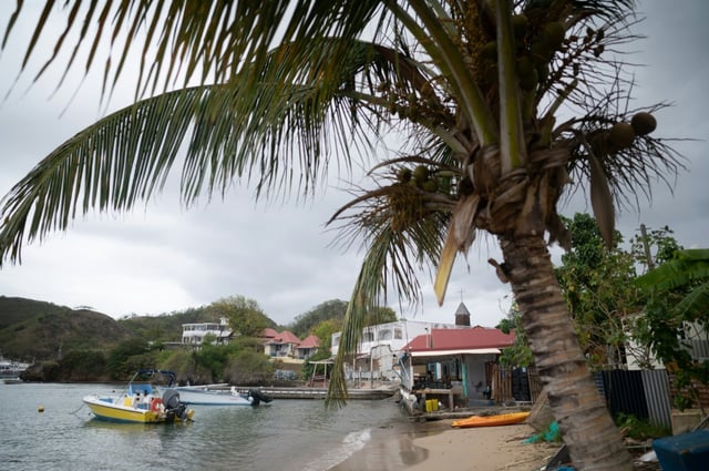 A French woman from the Caribbean island of Guadeloupe has been identified as the only known carrier of a new blood type
