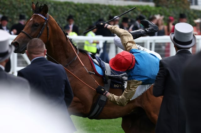 Jockey James Doyle has had a fabulous Royal Ascot but his Group One winner Lazzat brought him back down to earth with a bump