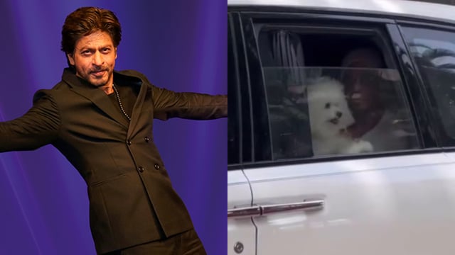 Shah Rukh Khan was spotted in Mumbai with his dog.
