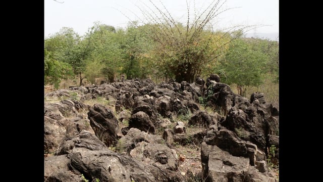Located near Salkhan village, about 15 km from Robertsganj in Sonbhadra, the park has been the focus of dedicated efforts by the tourism department over the past year. (HT )