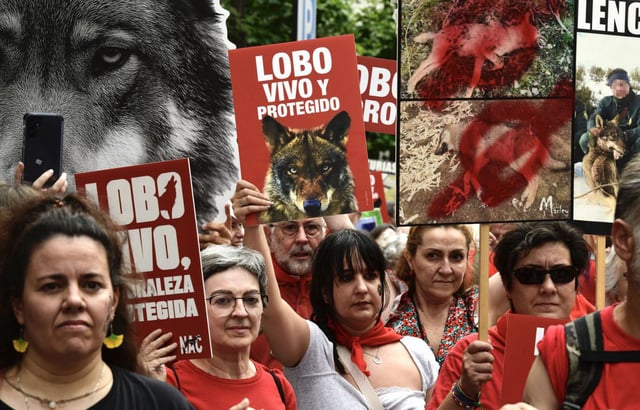 Manifestantes ayer en Madrid, a favor de la protección del lobo. |  Víctor Lerena/ Efe