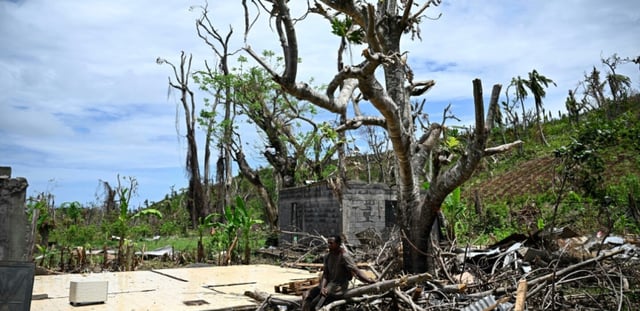 Un homme assis près d'un arbre, dans les décombres d'une maison détruite par le cyclone Chido, le 4 janvier 2025 à Bandraboua, à Mayotte