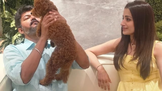 Trisha Krishnan couldn't keep her eyes off Vijay as he played with her dog, Izzy. 
