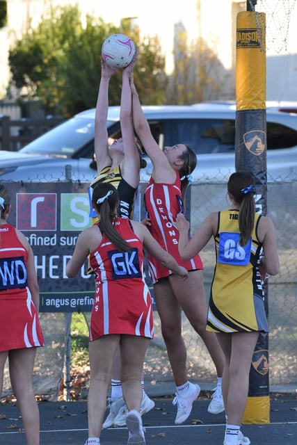 North Gambier's Mischa Human was reliable as ever in the Tigers' attack line in another standout shooting performance from the young talent. (James Murphy: 486101)