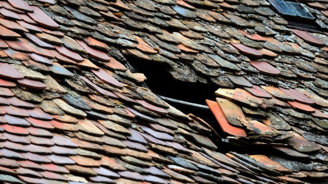 The sub-divisional officer has ordered a survey of old and dilapidated houses in the area after the incident.