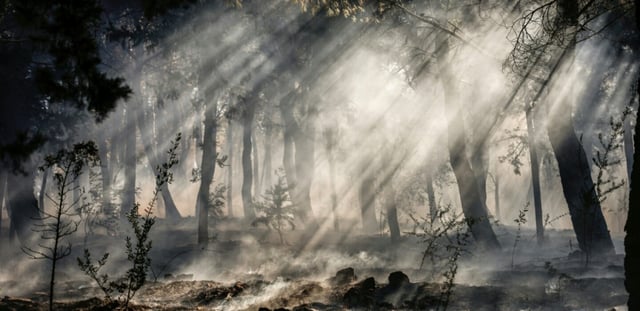 De la fumée s'élève des sous-bois lors d'un incendie de forêt le 23 juin 2025 sut l'île de Chios en Grèce