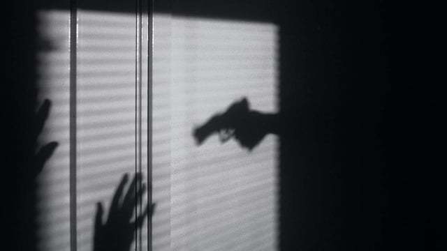 22-year-old Jilted Lover Shoots Partner to Death, Later Kills Self Using Father's Licensed Gun | Image: Unsplash