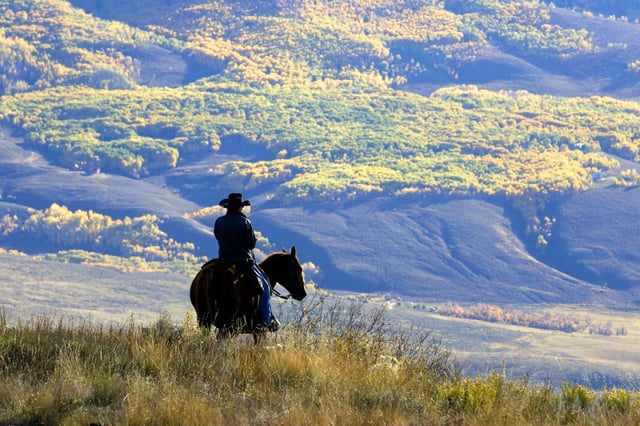 FILE - Wrangler Doug Washburn, of Crested Butte, Colo. overlooks aspen trees with their autumn colors, near Jacks Cabin in the Slate River Valley near Crested Butte, Colo. while gathering the Spann cattle from the U.S. National Forest lands, Oct. 5, 2007. (AP Photo/Nathan Bilow, File)
