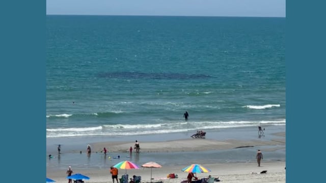Submarine Spotted At Myrtle Beach