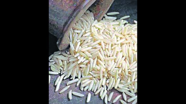 Currently, paddy is cultivated on approximately 34 lakh acres in Haryana, yielding 68 lakh metric tonnes (MT), including 20 lakh MT of basmati rice. (HT File)