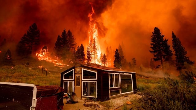 Wildfires contaminate water quality for nearly a decade after the blaze
