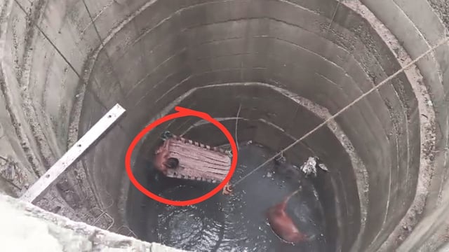 The rescue team descended into the well with an oxygen cylinder and pulled out all the six people from the well