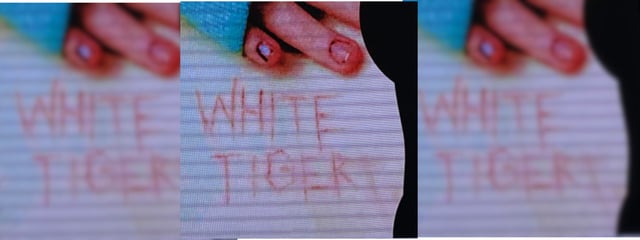 Bilder von der Polizei-Pressekonferenz am Mittwoch: Ein Opfer ritzte sich den Schriftzug „White Tiger“ in die Haut.