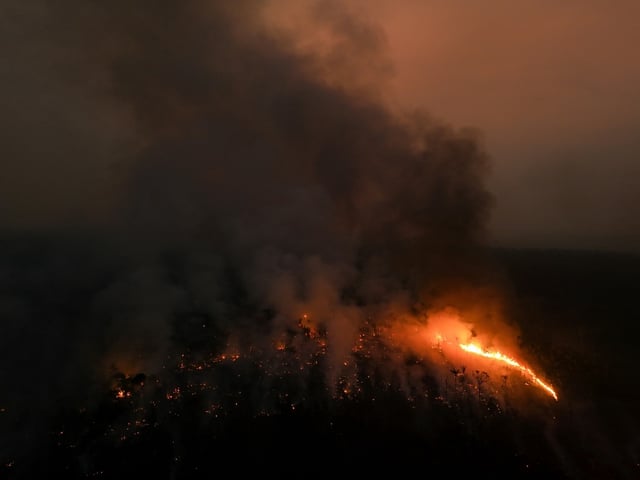 Vue aérienne d'un incendie illégal dans la forêt amazonienne, près de Labrea, dans l'Etat d'Amazonas, le 4 septembre 2024 au Brésil