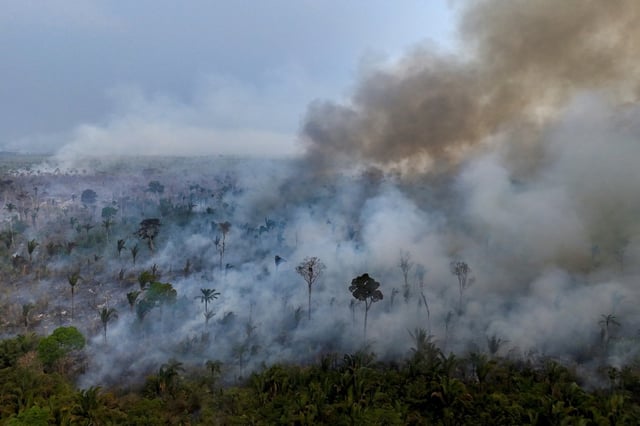 Vue aérienne d'un incendie illégal dans la forêt amazonienne, près de la ville de Labrea, dans l'Etat d'Amazonas, le 4 septembre 2024 dans le nord du Brésil