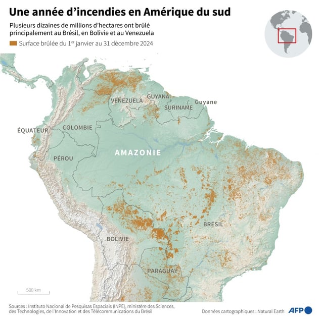 Carte montrant la surface brûlée en Amérique du sud entre le 1er janvier et le 31 décembre 2024