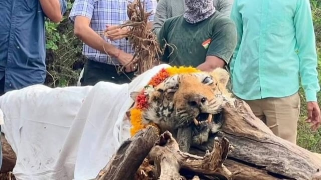 Forest officials and wildlife enthusiasts paid heartfelt tributes before Arrowhead was cremated.