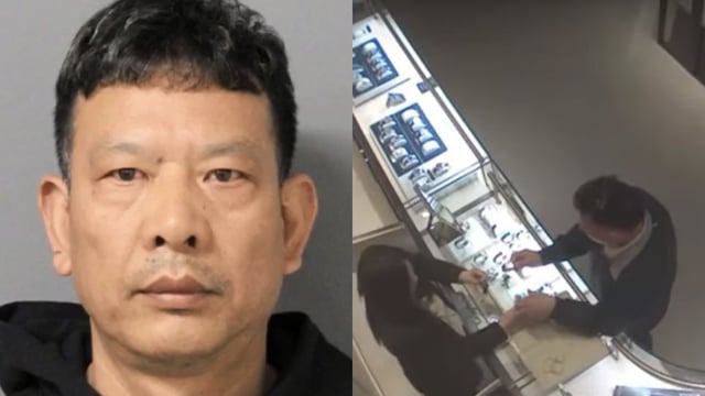 Yaorong Wan mugshot and stealing