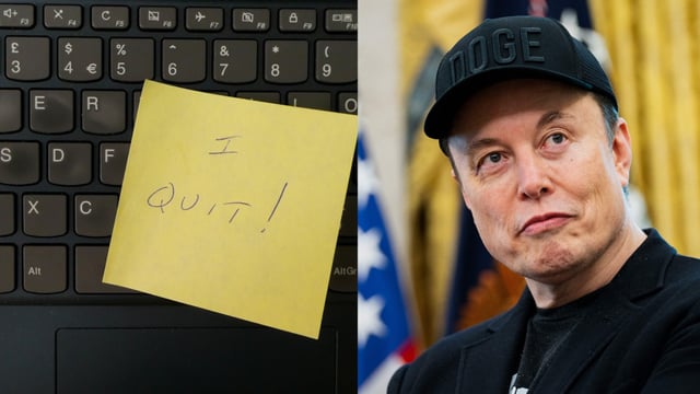 Edward Coristine, known online as ‘Big Balls’, has resigned from his federal government post.