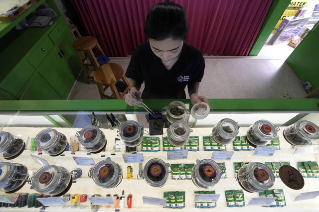 FILE- A staff prepares flower bud of cannabis for a customer at cannabis shop Bangkok, Thailand, July 18, 2024. (AP Photo/Sakchai Lalit, File)