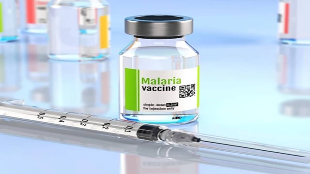 Bharat Biotech And GSK Cut The Price Of The World's First Malaria Vaccine To Under $5 By 2028 | Image: Representation photo