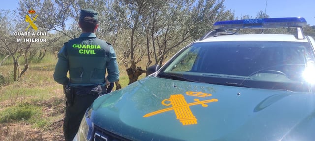 Un agente de la Guardia Civil.