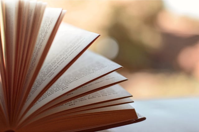 Aux États-Unis, utiliser des livres pour entraîner un modèle d’IA ne constituait pas une violation des lois du pays en matière de droits d’auteurs.
