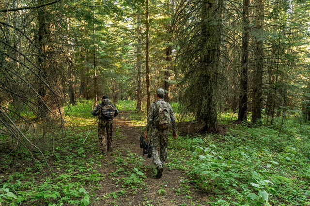 FILE: Two men wearing camouflage clothing and backpacks hike through a forest in Washington state while hunting elk using a crossbow.