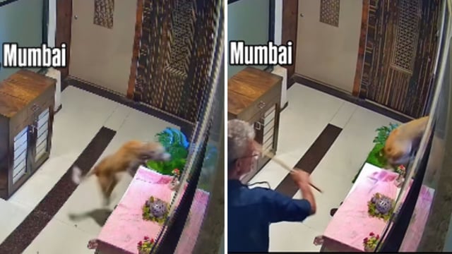 A security guard in a Mumbai building beating a dog. 