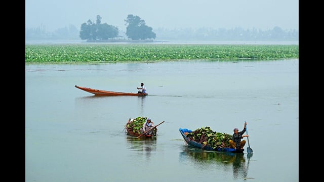 The rainfall in Kashmir was witnessed amid a severe heatwave since the second week of June. (AFP)