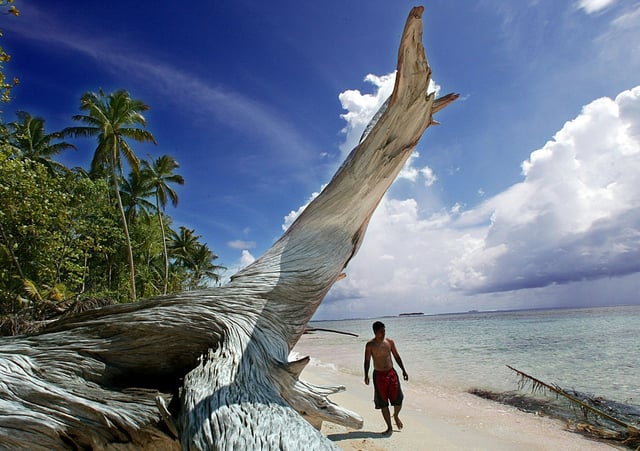 A giant piece of driftwood dominates the shoreline of Tepuka Islet on Funafuti Atoll, 22 February 2004, as rising sea levels inundate many of Tuvalu's low islands. Tuvaluans fear that global warming induced changes in sea level coupled with king tides and cyclones will soon render their Polynesian archipelago uninhabitable.  AFP PHOTO/Torsten BLACKWOOD