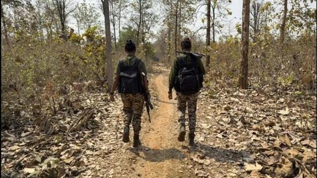 The encounter started at night inside the forest under Kohkameta police station limits in the Abhujmaad area (Ht/ Representative photo)