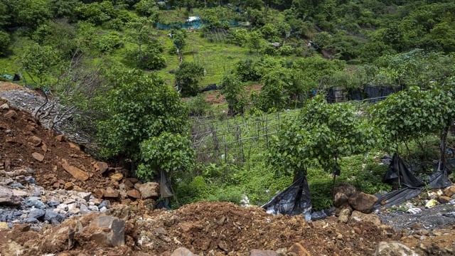 (Image for representation) The woman was found dumped in a garbage pile in Mumbai's Aarey Colony. 