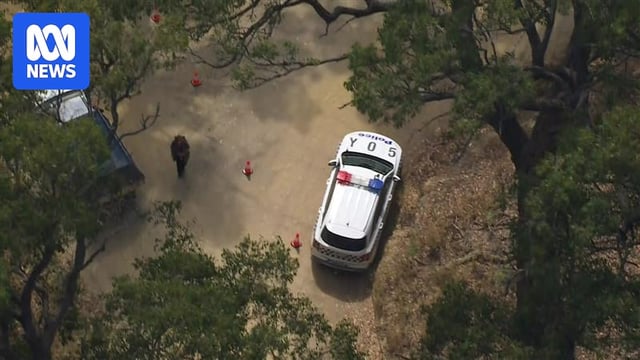 aerial image of police car at scene of alleged assault in wheatsheaf 