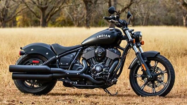 Indian Chief Dark Horse