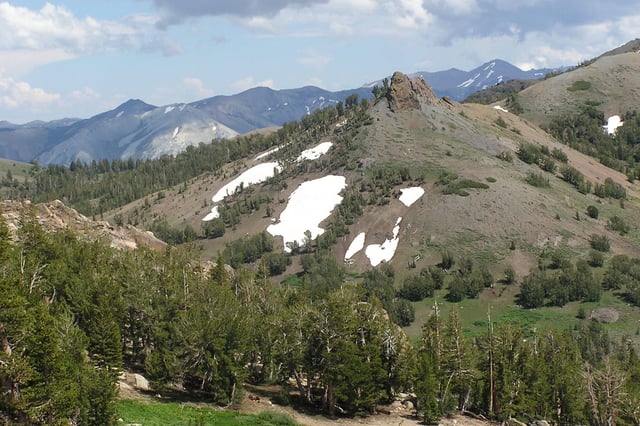 The Eagle Roadless Area is part of California’s Stanislaus National Forest.