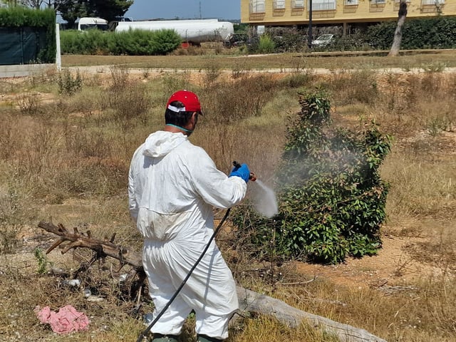 Plan de fumigación en Albal