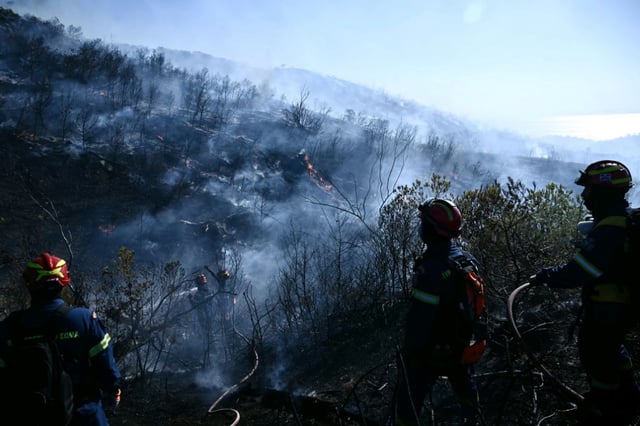 Des pompiers luttent contre un feu de forêt, près de Thymari, au sud-est d'Athènes, le 26 juin 2025 en Grèce