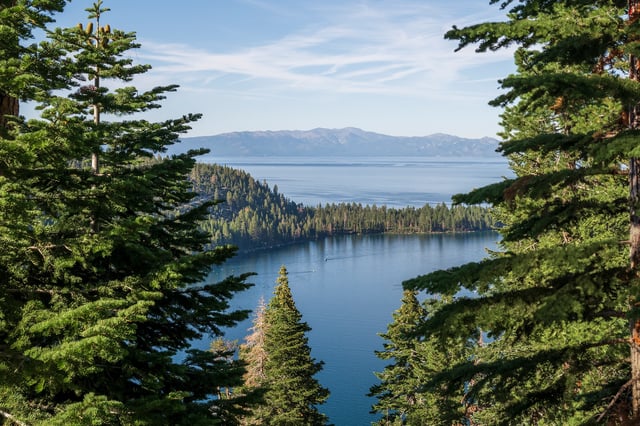 Emerald Bay, Lake Tahoe, in the summer, glimpsed through pine trees.